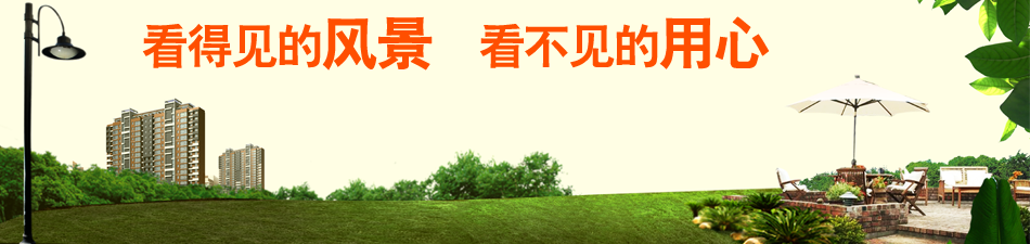 香港六宝大典大全